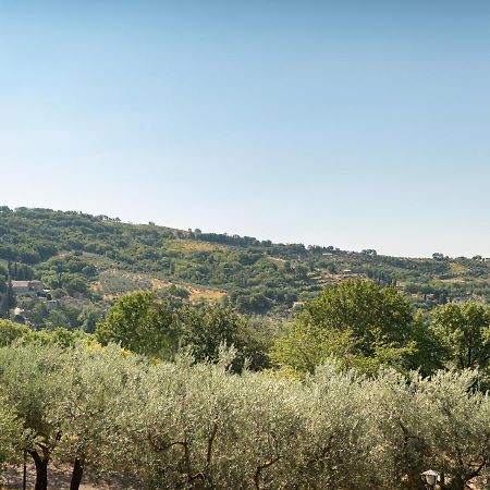 Agriturismo La Rocca Assisi Petrignano Exterior photo
