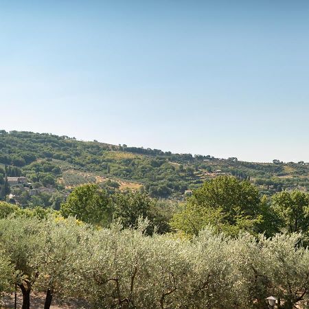 Agriturismo La Rocca Assisi Villa Petrignano Exterior photo