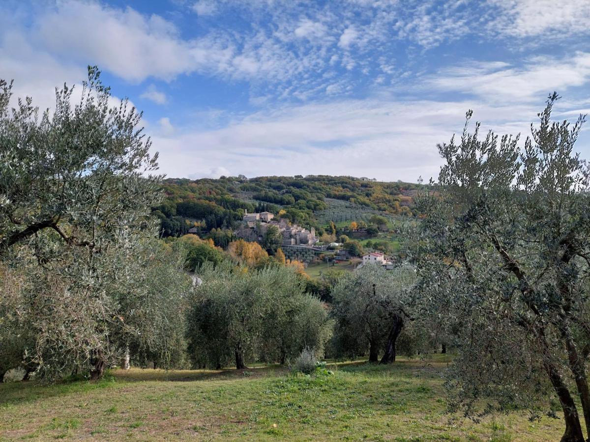 Agriturismo La Rocca Assisi Villa Petrignano Exterior photo