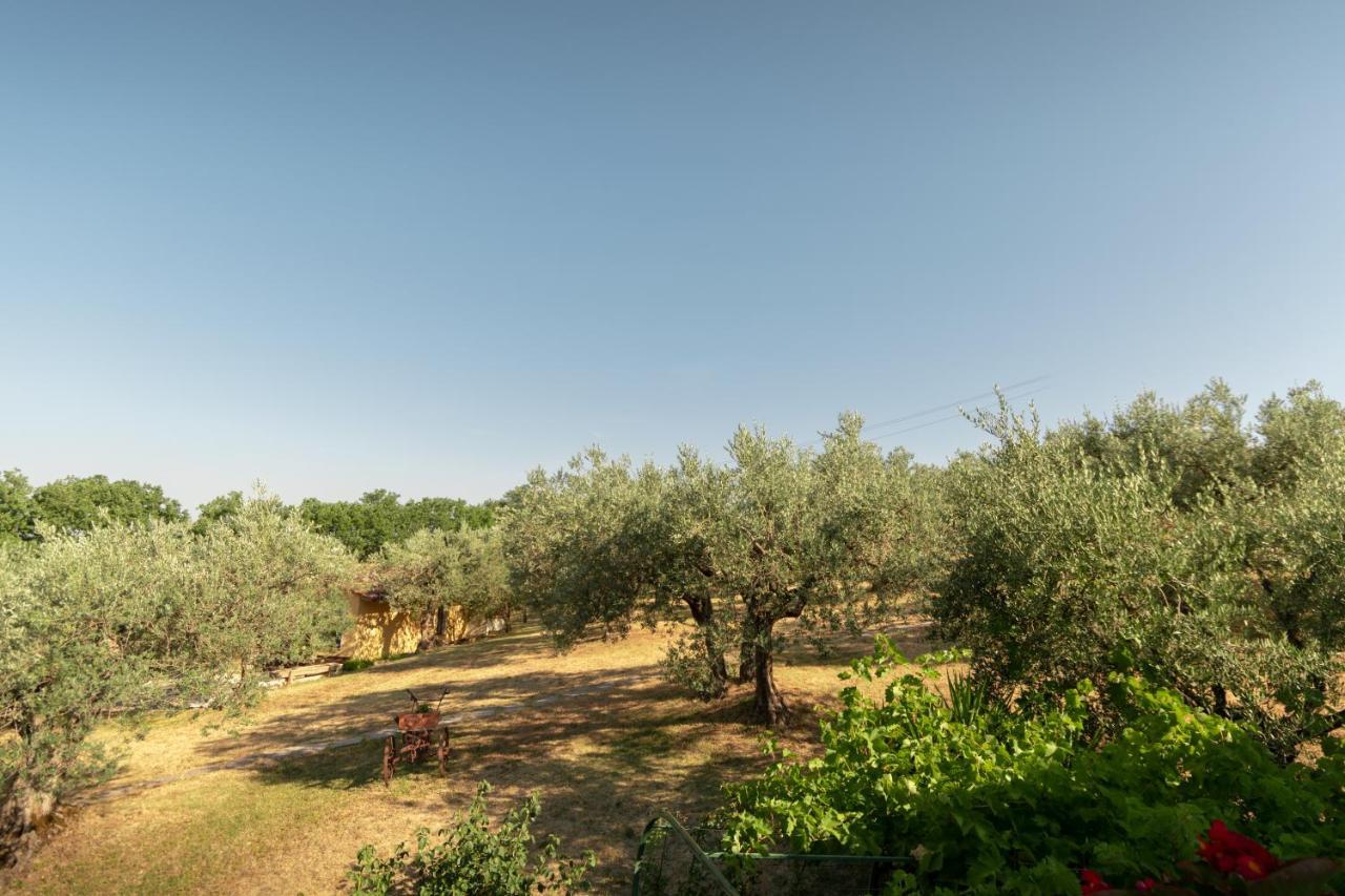Agriturismo La Rocca Assisi Petrignano Exterior photo