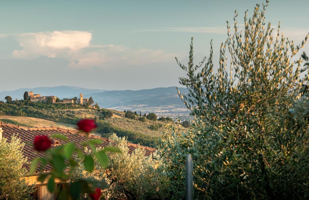 Agriturismo La Rocca Assisi Villa Petrignano Exterior photo