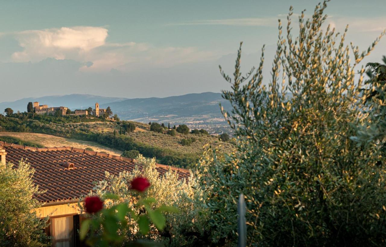 Agriturismo La Rocca Assisi Villa Petrignano Exterior photo