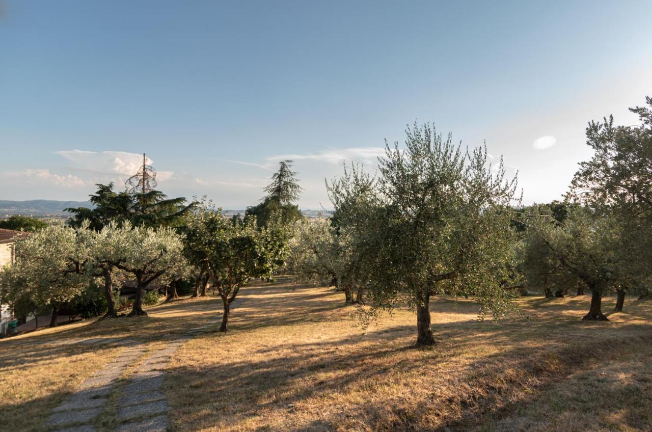 Agriturismo La Rocca Assisi Villa Petrignano Exterior photo