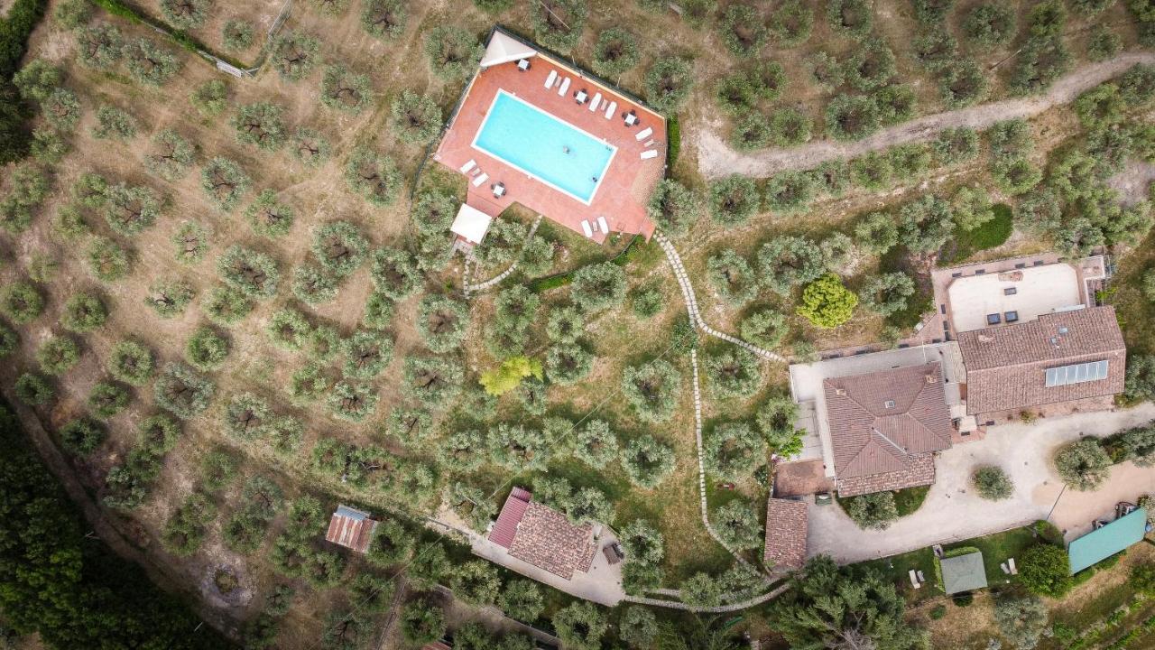 Agriturismo La Rocca Assisi Petrignano Exterior photo