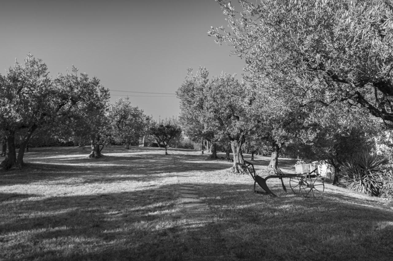 Agriturismo La Rocca Assisi Villa Petrignano Exterior photo