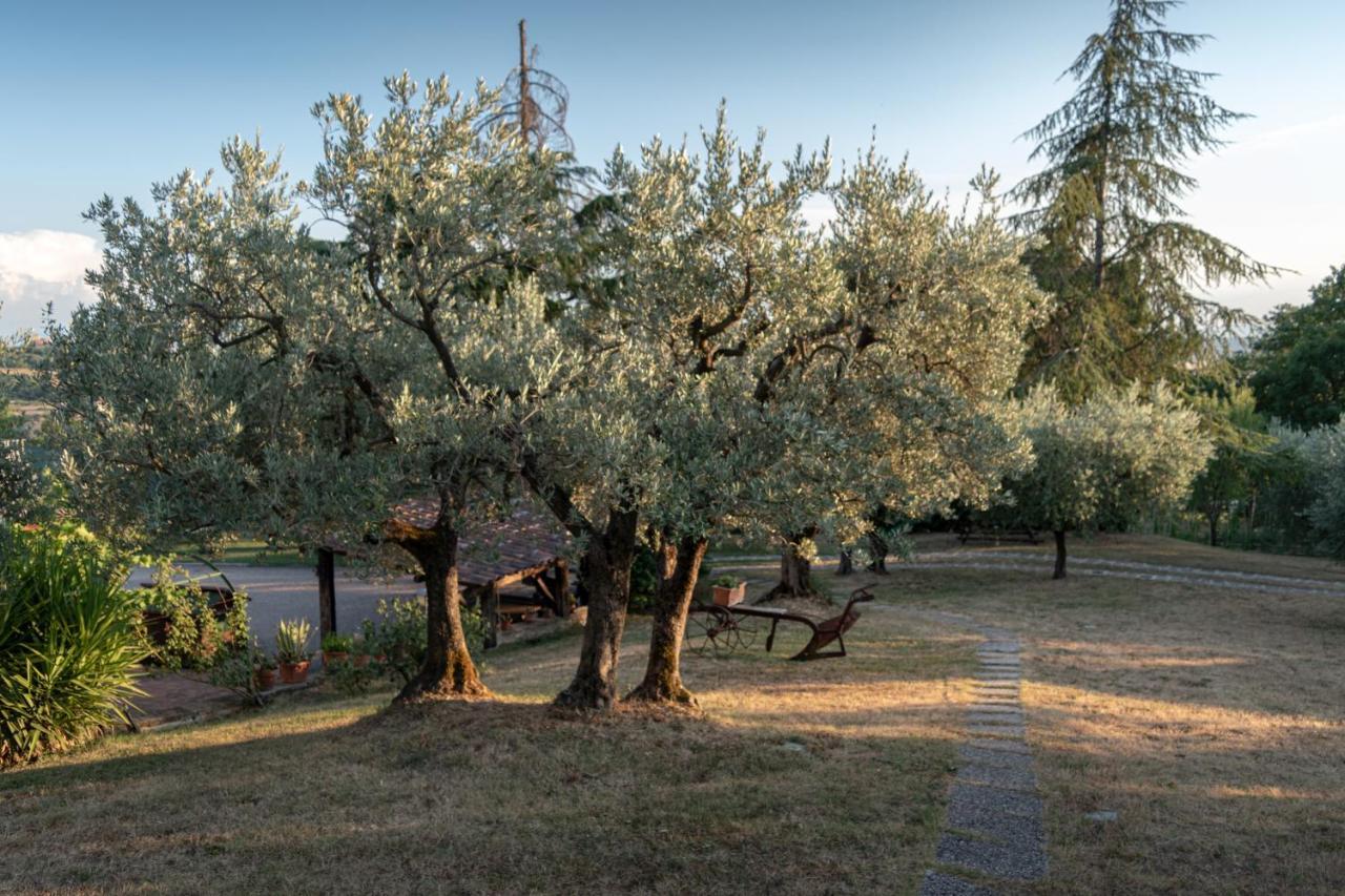 Agriturismo La Rocca Assisi Villa Petrignano Exterior photo