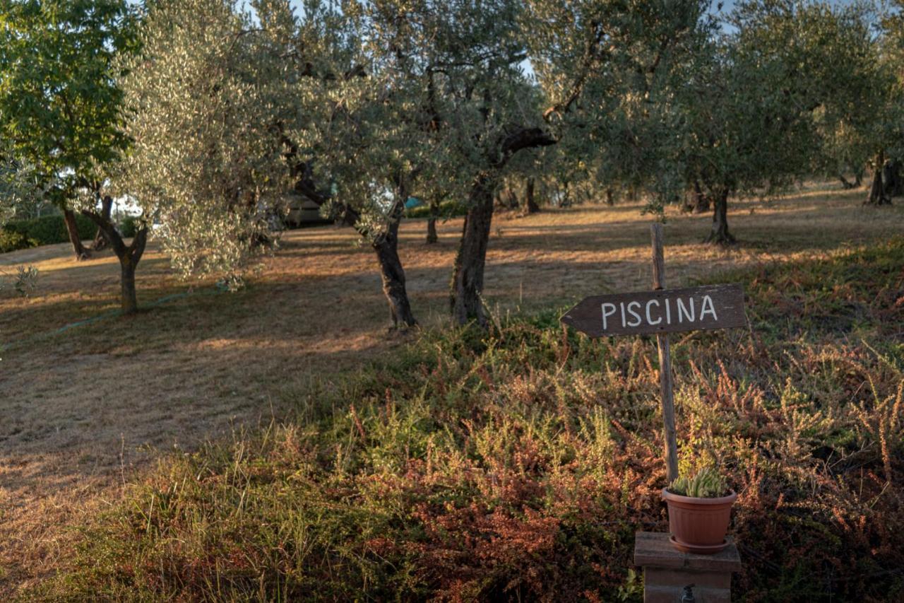 Agriturismo La Rocca Assisi Villa Petrignano Exterior photo