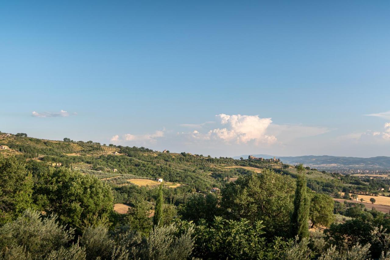 Agriturismo La Rocca Assisi Villa Petrignano Exterior photo