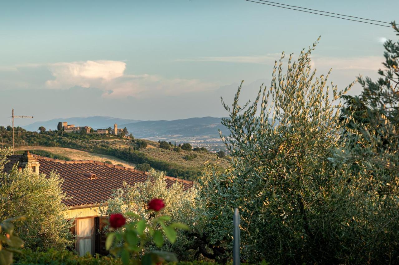 Agriturismo La Rocca Assisi Villa Petrignano Exterior photo